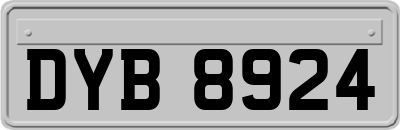 DYB8924