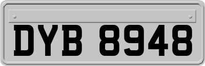 DYB8948