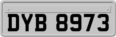 DYB8973