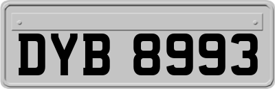 DYB8993