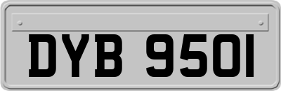 DYB9501