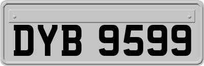 DYB9599