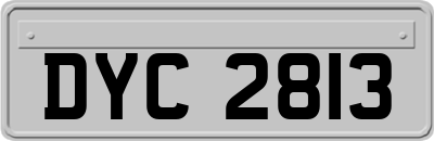 DYC2813