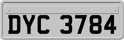 DYC3784