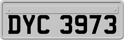 DYC3973