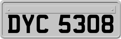 DYC5308