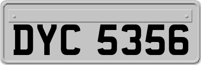 DYC5356