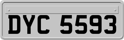 DYC5593