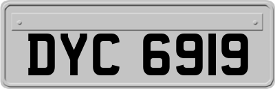 DYC6919