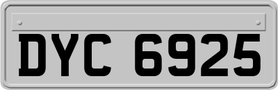 DYC6925