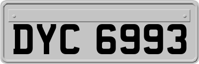 DYC6993