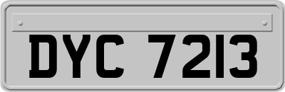 DYC7213