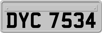 DYC7534