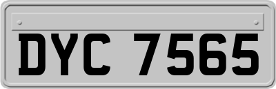DYC7565