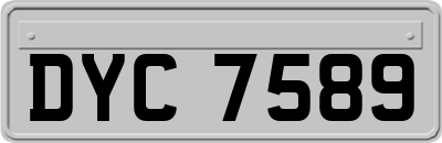 DYC7589