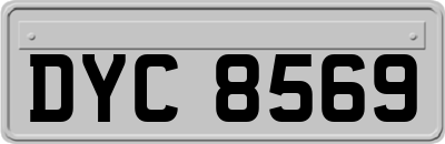 DYC8569