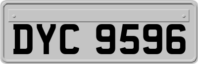DYC9596
