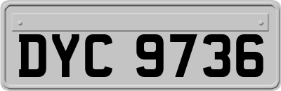 DYC9736