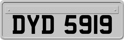 DYD5919