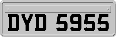 DYD5955