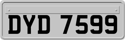 DYD7599