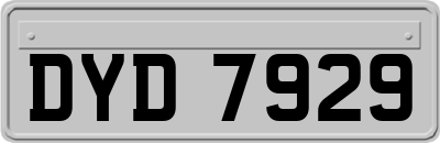 DYD7929