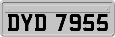 DYD7955