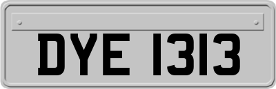 DYE1313