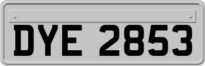 DYE2853