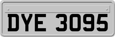 DYE3095
