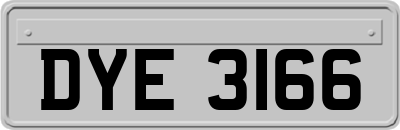 DYE3166