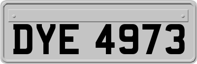 DYE4973