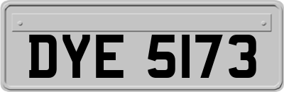 DYE5173