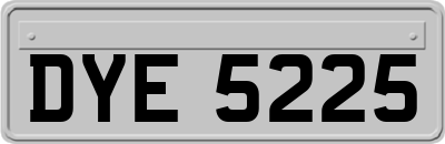 DYE5225
