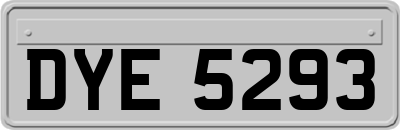 DYE5293