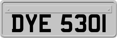 DYE5301