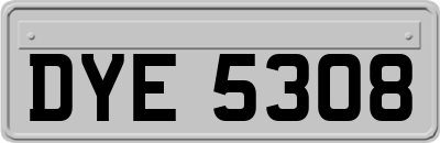 DYE5308