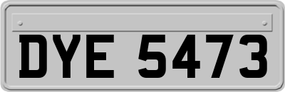 DYE5473