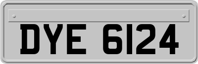 DYE6124