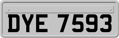 DYE7593