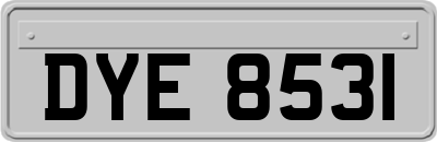 DYE8531