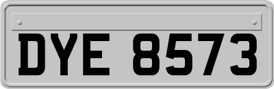 DYE8573