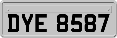 DYE8587