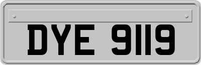 DYE9119