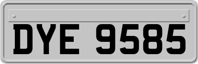 DYE9585