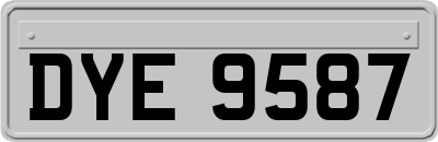 DYE9587