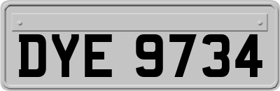 DYE9734