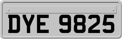 DYE9825