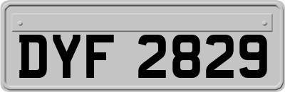 DYF2829