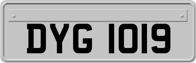 DYG1019
